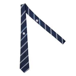 MCB FULLERTON HOUSE TIE, Methodist College Belfast
