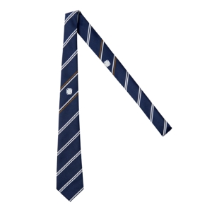 MCB NEILL HOUSE TIE, Methodist College Belfast