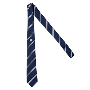MCB WESLEY HOUSE TIE, Methodist College Belfast