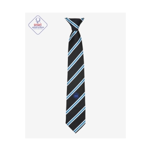 Alleyne's Clip On Tie