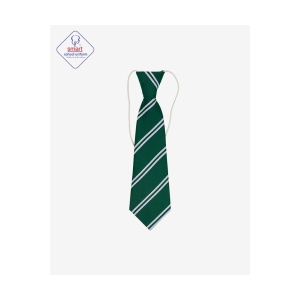 Ash Green Ties