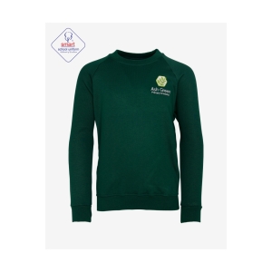 Ash Green Round Neck Jumper