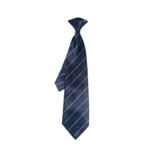 Biddulph Navy/Sky 16" Clp on Tie