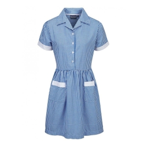 Banner Button Gingham Dress (Sky&Yellow)