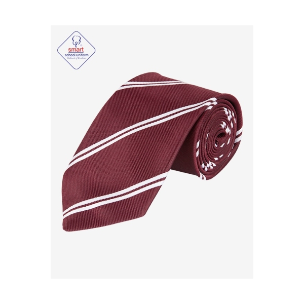 Clayton Hall Academy Ties