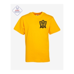 Hanley St Lukes's PE Tee