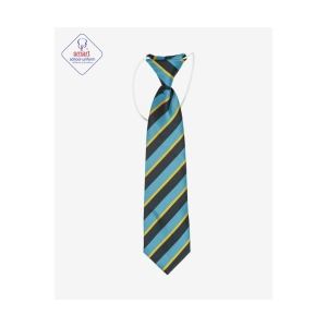 Our Lady & St Werbrugh Elasticated Tie