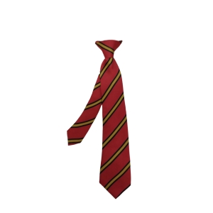 Goldenhill Primary smart Clip On Tie