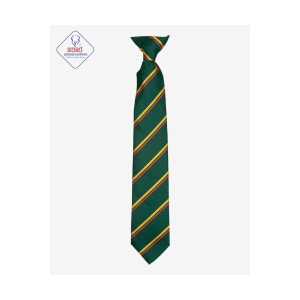 Madeley High Ties