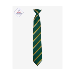 Madeley High Ties