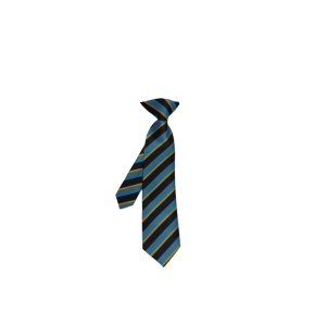 Our Lady Catholic Academy Ties