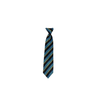 Our Lady Catholic Academy Ties