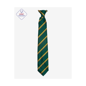 Madeley High Ties