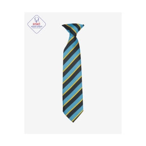 Our Lady Catholic Academy Ties