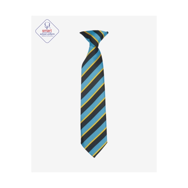 Our Lady Catholic Academy Ties