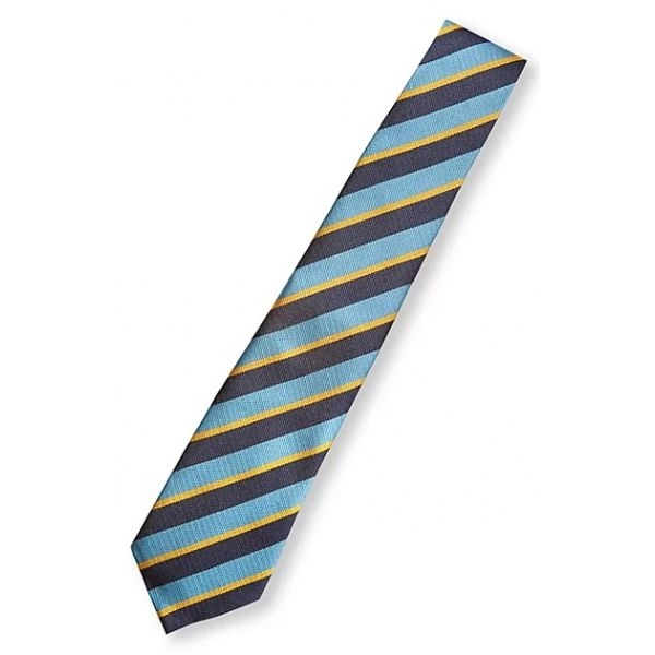 Our Lady St Werburghs Standard Ties