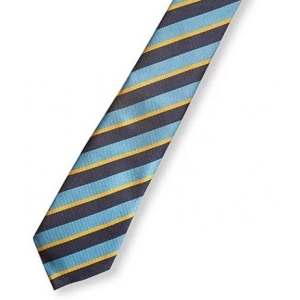 Our Lady St Werburgh Velcro Ties