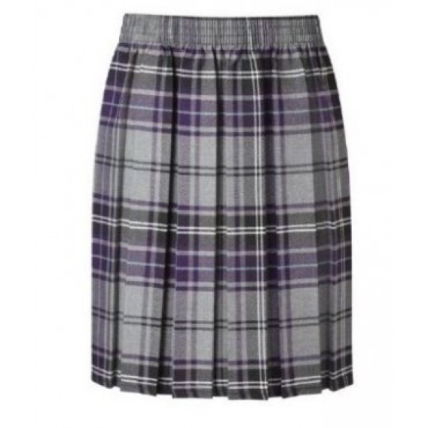 Silverdale Primary Box Pleat Skirt