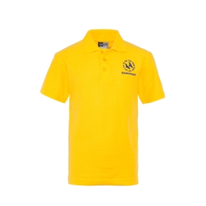 Ravensmead Gold Polo