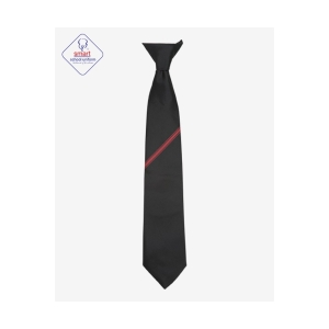 Trentham Clip On Ties
