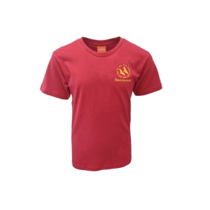 Ravensmead PE Tees Colours