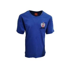 Shavington Primary House PE Tees
