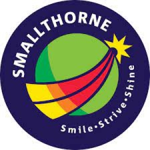 Smallthorne Clip On Ties