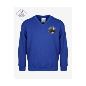 St Chads smart Uniform Vee