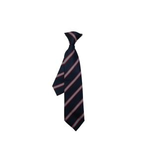 St Wulstans Ties