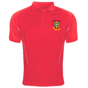 St Joseph's College GCSE Boys Polo