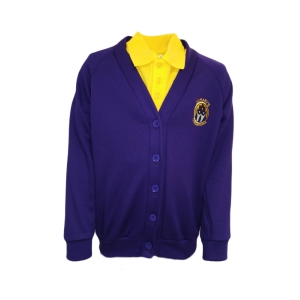 St Mary's C of E Primary Cardigan