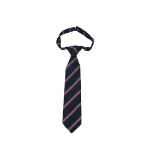 St Wulstans Velcro Tie
