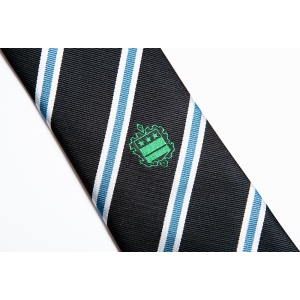 Alleyne's Clip On Tie