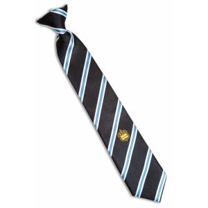 Alleyne's Clip On Tie