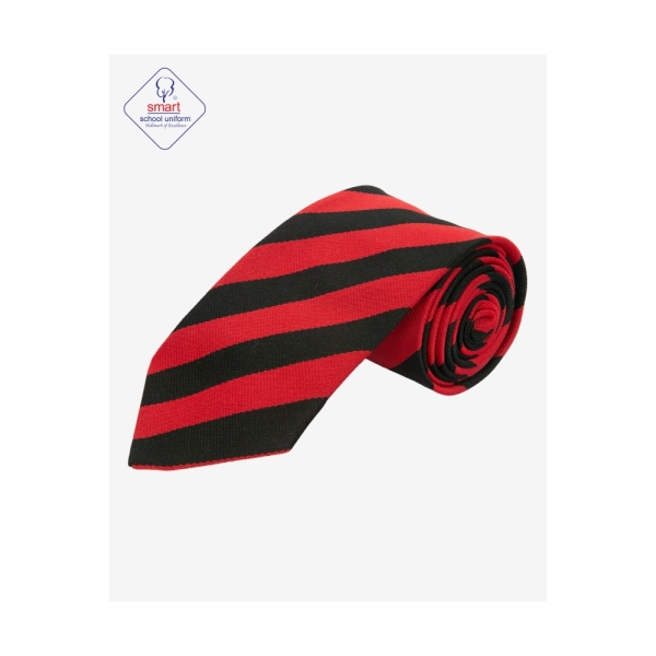St Thomas Aquinas TIES