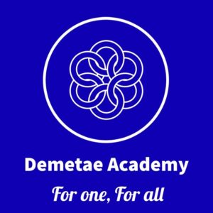 DEMETAE ACADEMY
